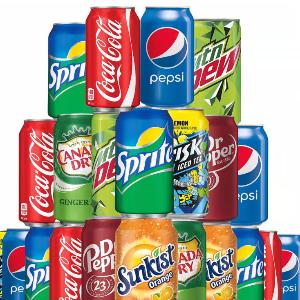 Canned Beverage or Water Bottle