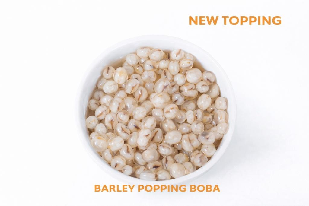 Barley Popping Boba