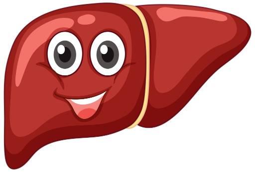 Jerky Liver